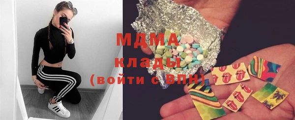 ГАЛЛЮЦИНОГЕННЫЕ ГРИБЫ Михайлов