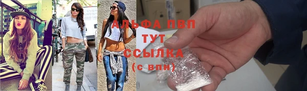 шишки Михайловск