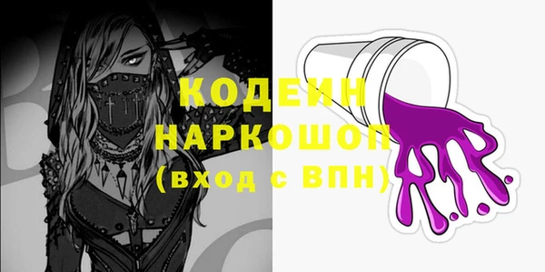 ГАЛЛЮЦИНОГЕННЫЕ ГРИБЫ Михайлов