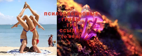 шишки Михайловск