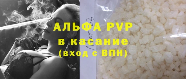 шишки Михайловск