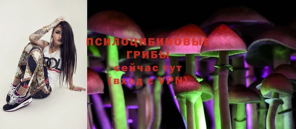 шишки Михайловск