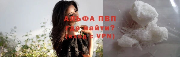 шишки Михайловск