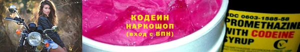 шишки Михайловск