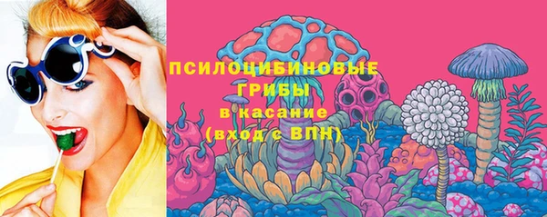 ГАЛЛЮЦИНОГЕННЫЕ ГРИБЫ Михайлов