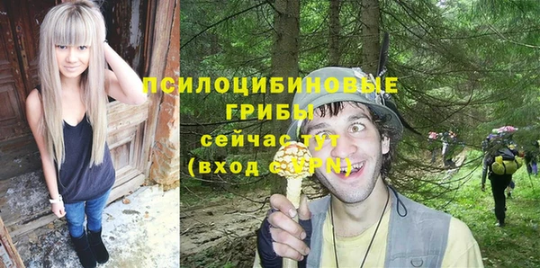 ALPHA PVP Мегион