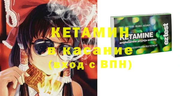 шишки Михайловск