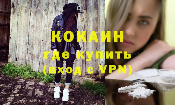 ГАЛЛЮЦИНОГЕННЫЕ ГРИБЫ Михайлов