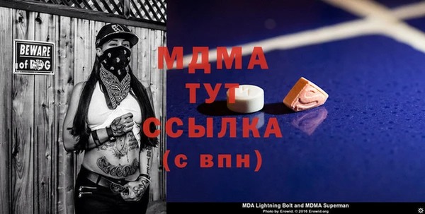 ГАЛЛЮЦИНОГЕННЫЕ ГРИБЫ Михайлов