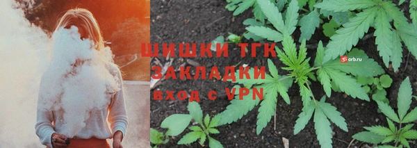 шишки Михайловск