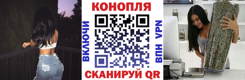 где найти   Александровское  Конопля сатива 